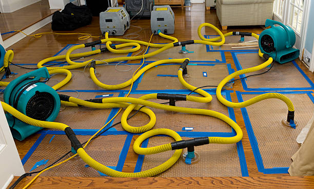 Professional Structural Drying And Dehumidification technician working in Worthington, IN